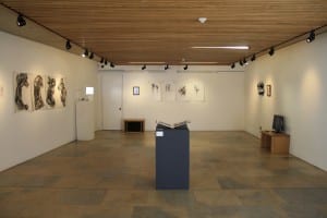 Mondegren Ekphrasis, The Collection, Lincoln, curated by Ashleigh MacDougall.j2